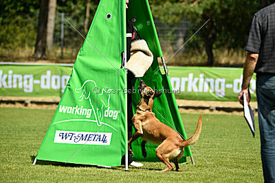 Arizona von den Heilstätten