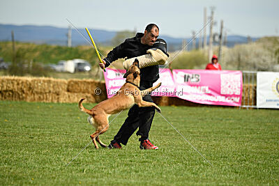 Arizona von den Heilstätten