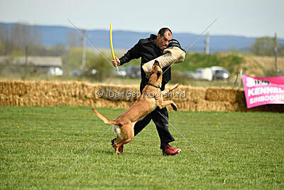 Arizona von den Heilstätten