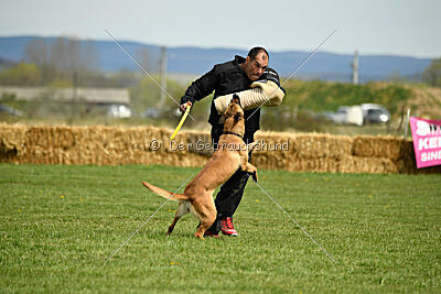 Arizona von den Heilstätten