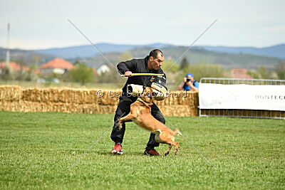 Arizona von den Heilstätten