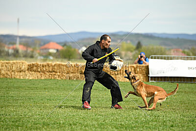 Arizona von den Heilstätten