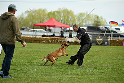 Arizona von den Heilstätten