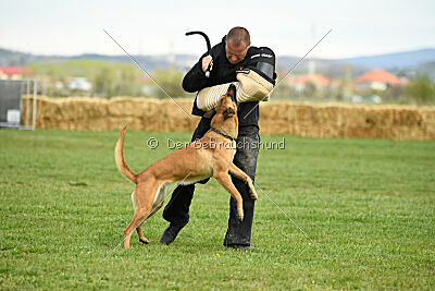 Arizona von den Heilstätten