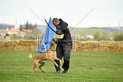 Arizona von den Heilstätten