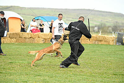 Arizona von den Heilstätten