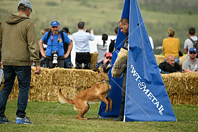 Arizona von den Heilstätten