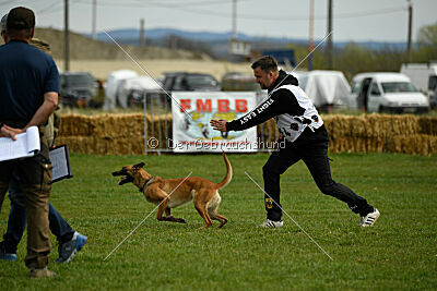 Arizona von den Heilstätten