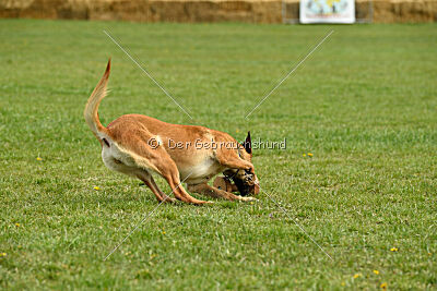 Arizona von den Heilstätten