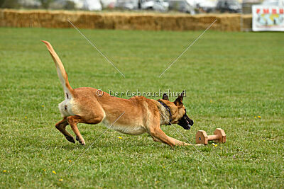 Arizona von den Heilstätten