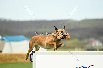 Arizona von den Heilstätten