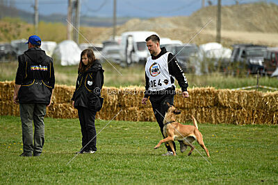 Arizona von den Heilstätten