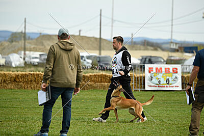Arizona von den Heilstätten