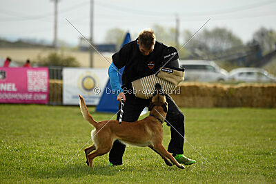Arizona von den Heilstätten