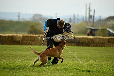Arizona von den Heilstätten