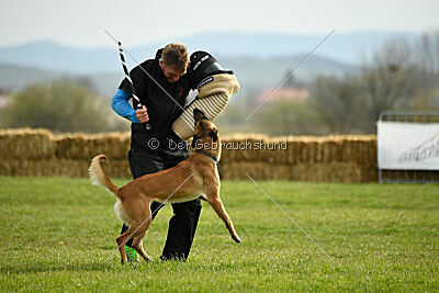 Arizona von den Heilstätten