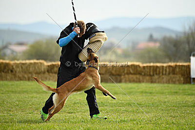 Arizona von den Heilstätten