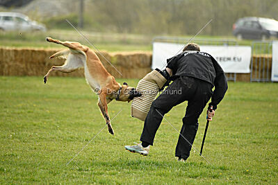 Arizona von den Heilstätten