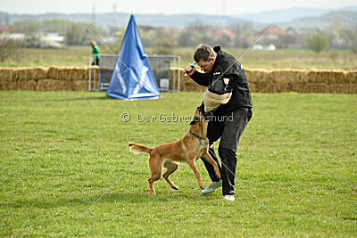 Arizona von den Heilstätten