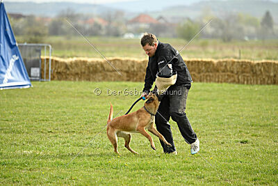 Arizona von den Heilstätten