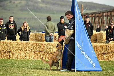 Arizona von den Heilstätten