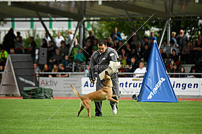 Arizona von den Heilstätten
