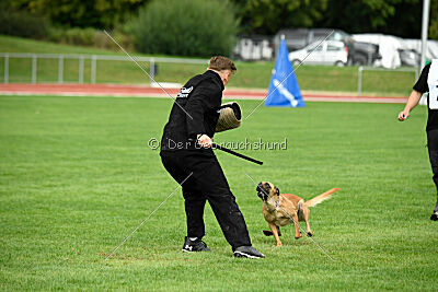 Arizona von den Heilstätten