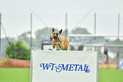 Arizona von den Heilstätten