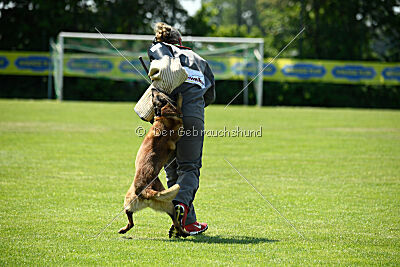 Arjen ex mera passio