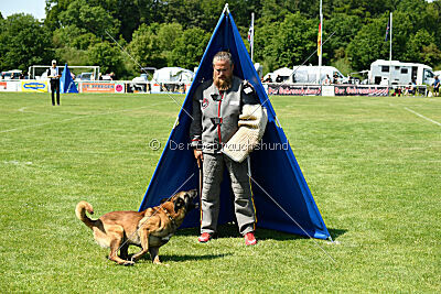 Arjen ex mera passio