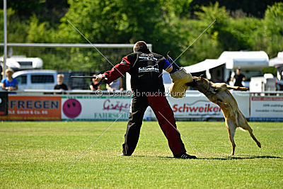 Arjen ex mera passio