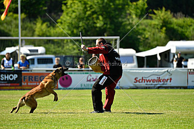 Arjen ex mera passio