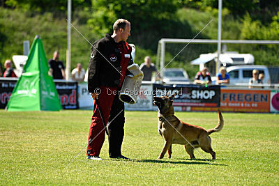 Arjen ex mera passio