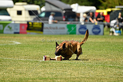 Arjen ex mera passio