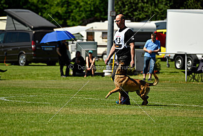 Arjen ex mera passio