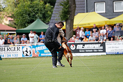 Arkan von der schwarzen Mamba