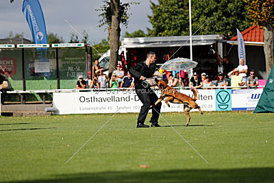 Arkan von der schwarzen Mamba