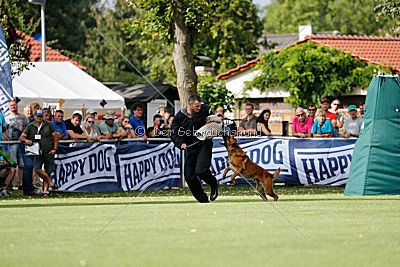 Arkan von der schwarzen Mamba