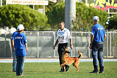 Arkan von der schwarzen Mamba