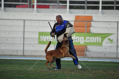 Arkan von der schwarzen Mamba