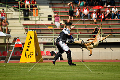 Arkan von der schwarzen Mamba