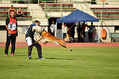 Arkan von der schwarzen Mamba