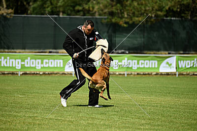 Armstrong Free to Fly