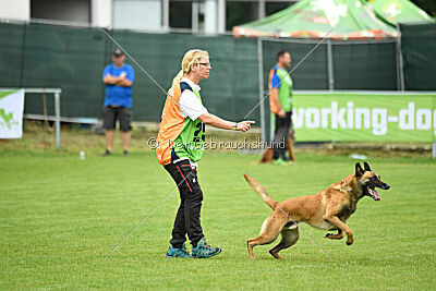 Armstrong Free to Fly