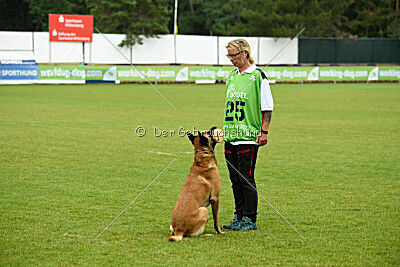 Armstrong Free to Fly