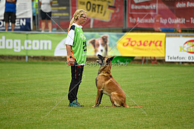 Armstrong Free to Fly