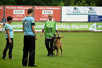 Armstrong Free to Fly