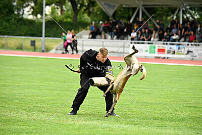 Armstrong Free to Fly