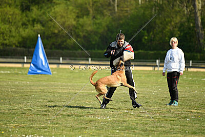 Armstrong Free to Fly