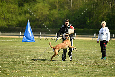 Armstrong Free to Fly